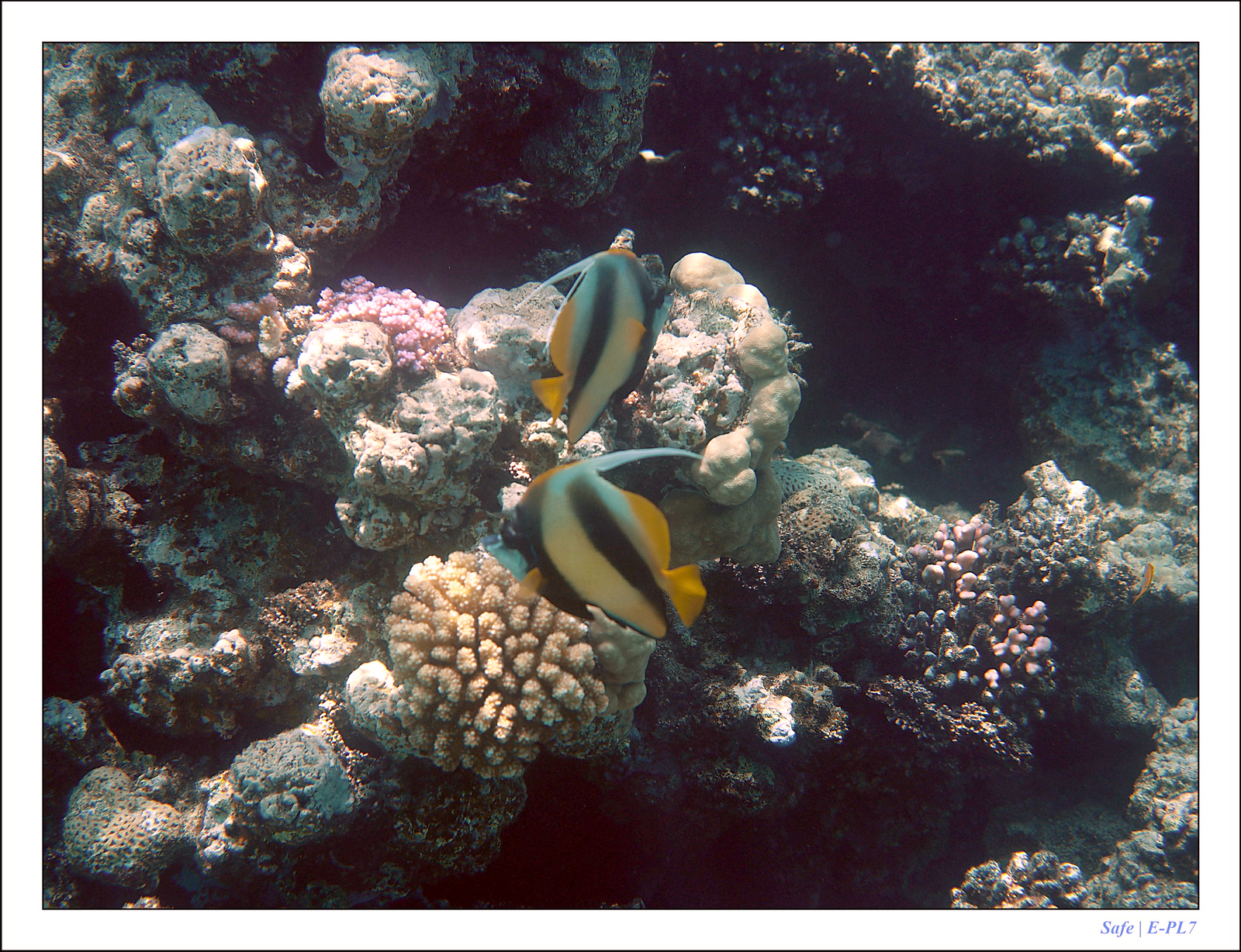 Hurghada - Juillet 2021 - 102